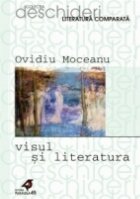 VISUL LITERATURA