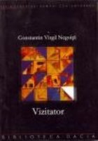 Vizitator