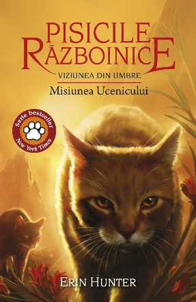 Viziunea din umbre : Misiunea Ucenicului - Cartea 31 (Set of:Pisicile războiniceVol. 31)