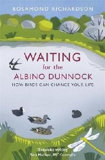 Waiting for the Albino Dunnock