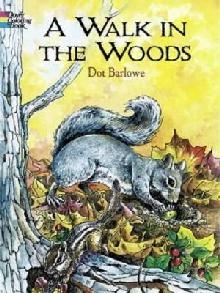 Walk in the Woods Coloring Book