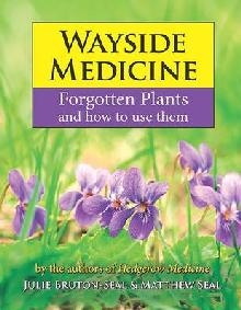 Wayside Medicine: Forgotten Plants to Make Your Own Herbal R