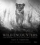 Wild Encounters