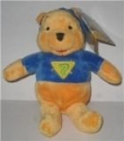 Winnie the Pooh super erou - 20 cm (3+) (600912)