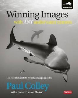 Winning Images with Any Underwater Camera