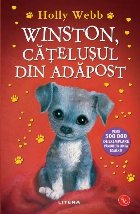 Winston, căţeluşul din adăpost