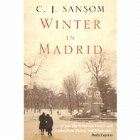 Winter Madrid