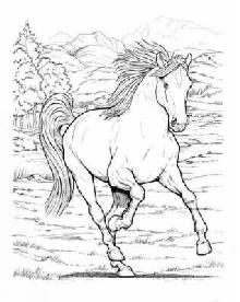 Wonderful World of Horses Coloring Book