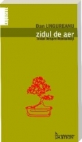 Zidul de aer