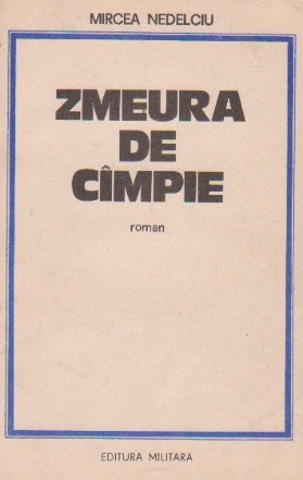 Zmeura de cimpie - roman impotriva memoriei