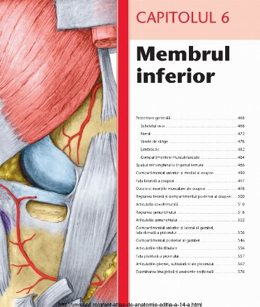 atlas_de_anatomie_grant_pdf_11.jpg